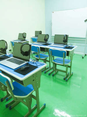 青島青林文理教育咨詢 專業(yè)指南與未來展望